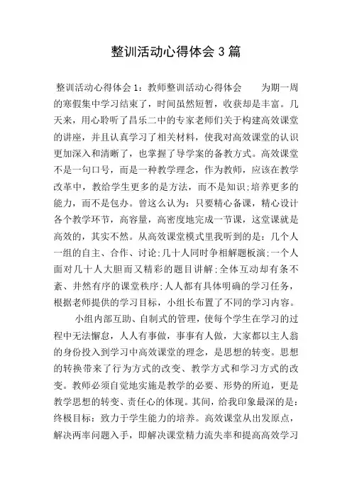 整训活动心得体会3篇
