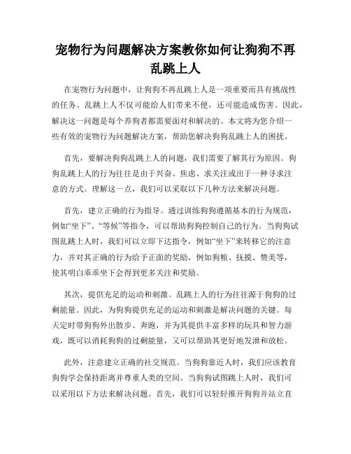 宠物行为问题解决方案教你如何让狗狗不再乱跳上人