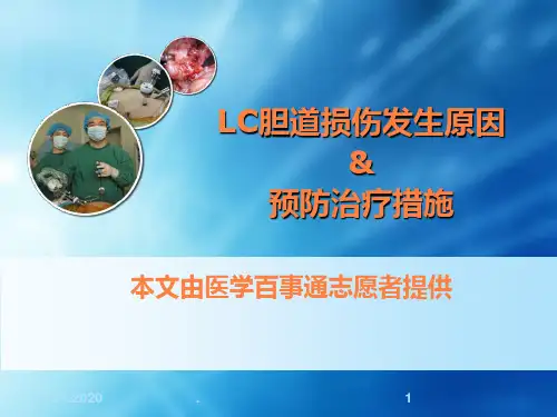 腹腔镜胆囊切除术胆道损伤的发生原因及其预防治疗措施ppt课件