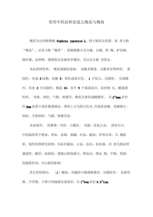 常用中药品种论述之槐花与槐角
