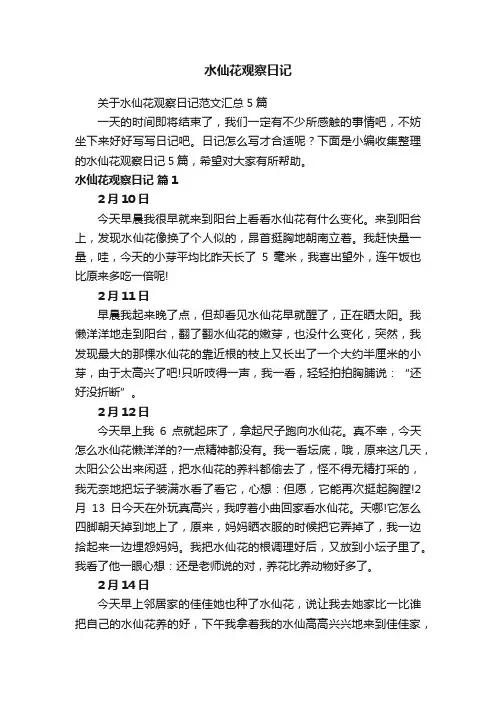 水仙花观察日记
