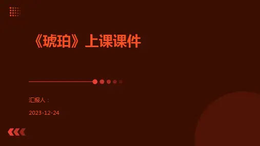 《琥珀》上课课件