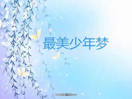 最美少年梦
