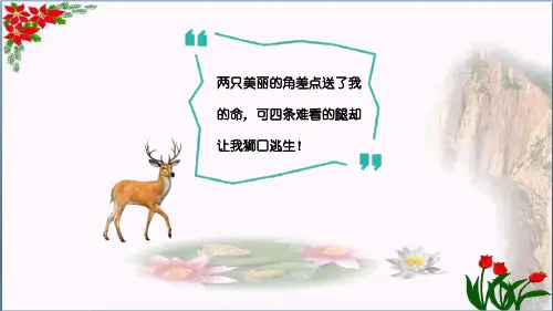 《鹿角和鹿腿》课文精析｜人教(部编版)优秀课件