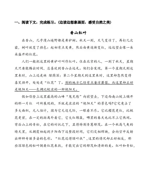 人教版语文四年级上册阅读理解专项复习(附答案)