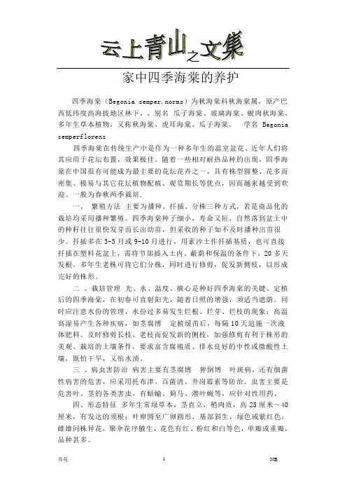 家中四季海棠的养护