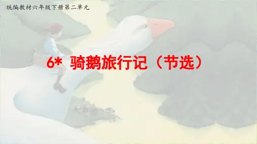 部编版语文六年级下册第6课《骑鹅旅行记》(节选)  