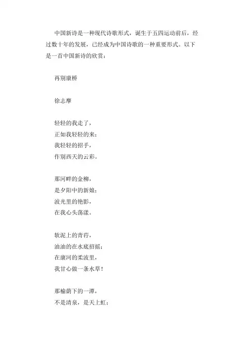 中国新诗欣赏