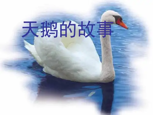 《天鹅的故事》3精品 课件 