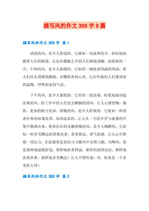 描写风的作文300字9篇