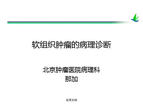 软组织肿瘤的病理诊断(2)(1)