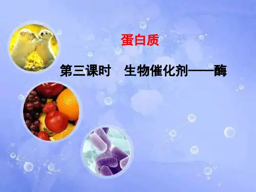 高中生物人教版新课程标准必修《分子与细胞》生物催化剂——酶的特性PPT课件
