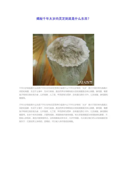 揭秘千年太岁肉灵芝到底是什么东西