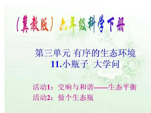 六年级下册科学-小瓶子大学问优秀课件冀教版