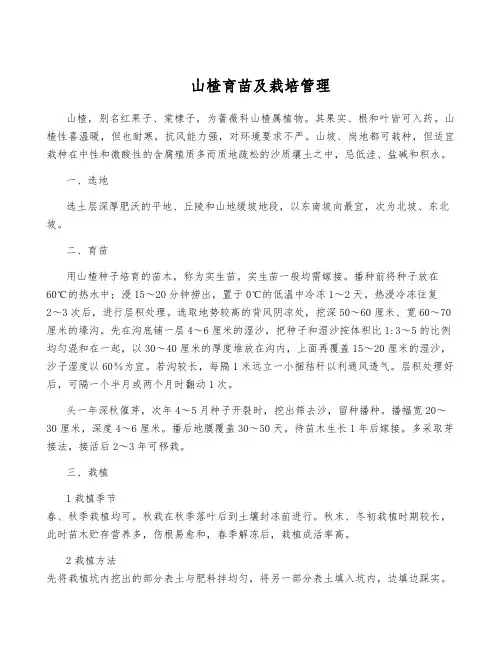 山楂育苗及栽培管理