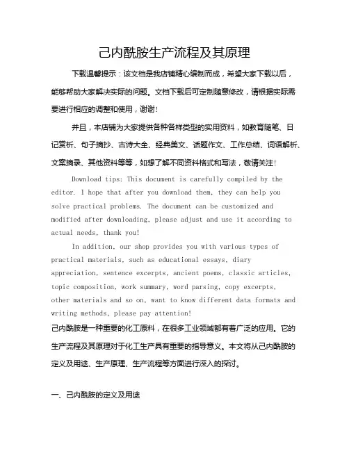 己内酰胺生产流程及其原理