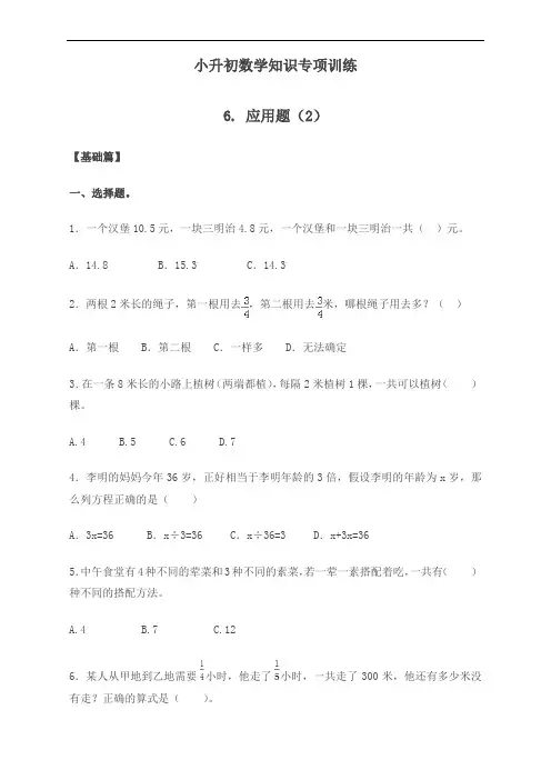最新小升初数学知识专项训练一   数与代数-6.应用题