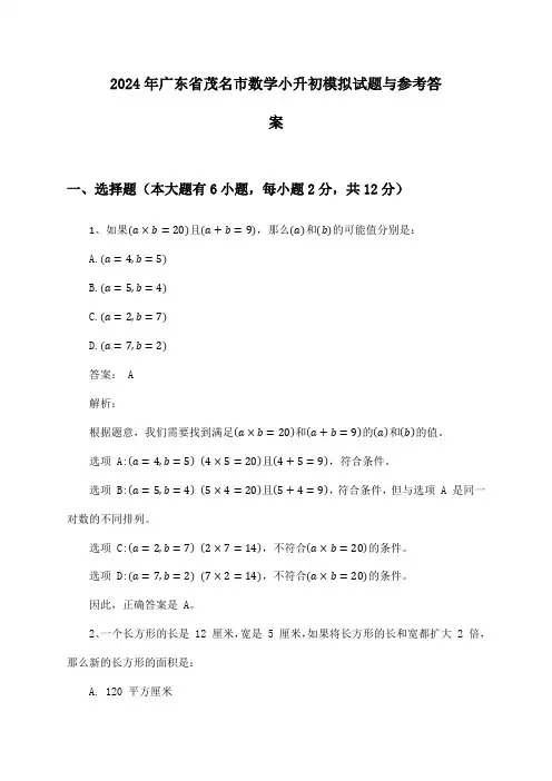 广东省茂名市数学小升初2024年模拟试题与参考答案
