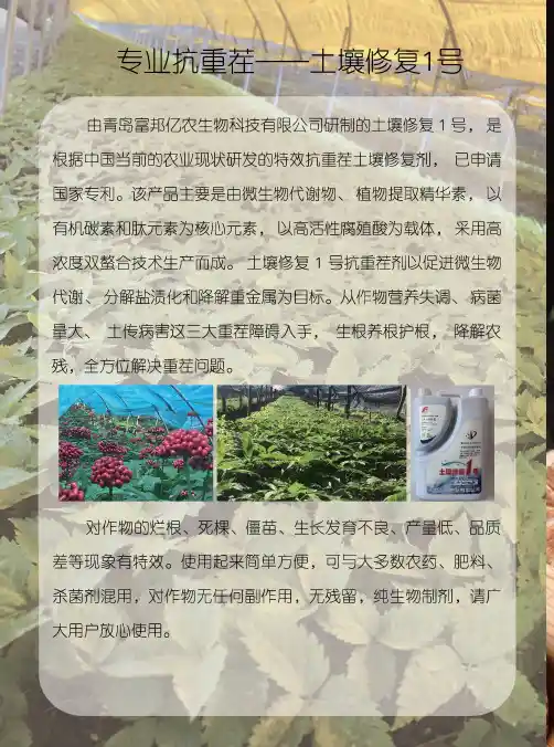 专业抗重茬——土壤修复1号
