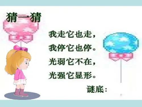 (五上)科学优秀课件-2.1 光和影｜教科版 PPT(29页)