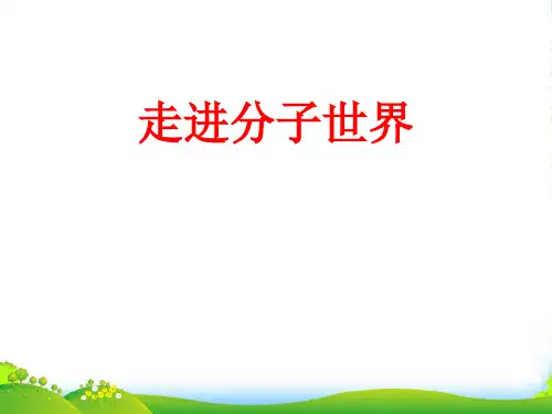 苏科版八年级物理下册：7.1《走进分子世界》课件