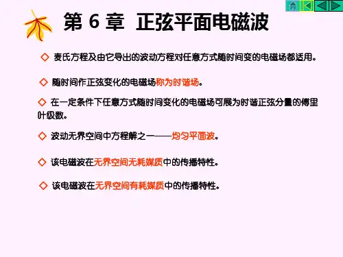 电磁场与电磁波(第6章正弦电磁波传播)