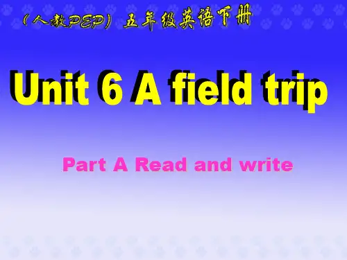 PEP小学英语五年级下册Unit_6_Read_and_write