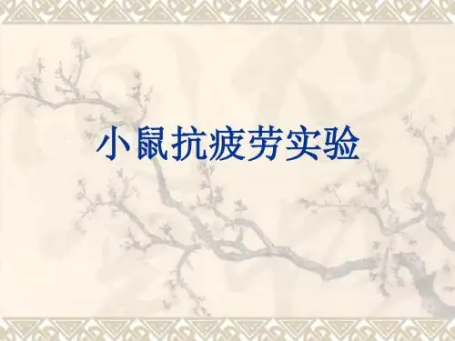 小鼠抗疲劳