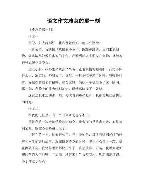 语文作文难忘的那一刻