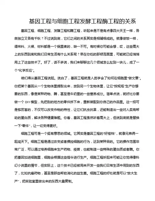 基因工程与细胞工程发酵工程酶工程的关系