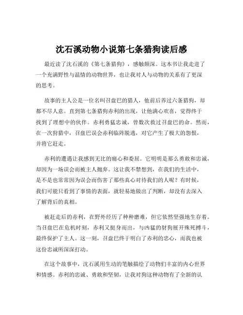 沈石溪动物小说第七条猎狗读后感