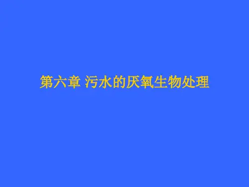 第六章 污水的厌氧生物处理