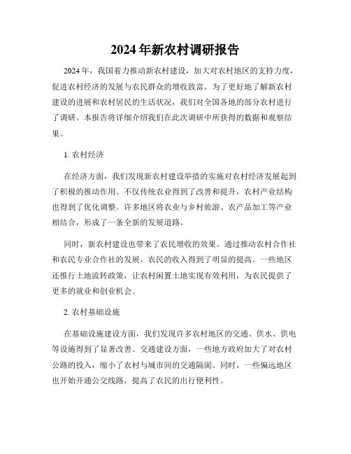 2024年新农村调研报告
