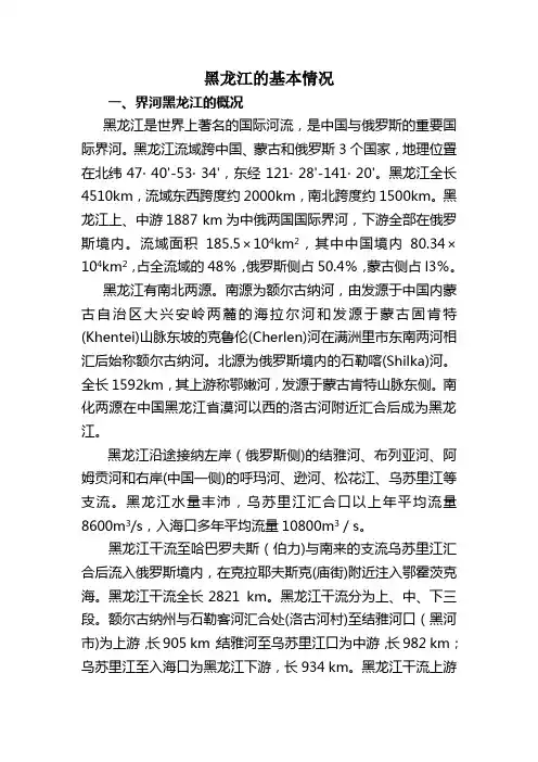 黑龙江(河流)情况