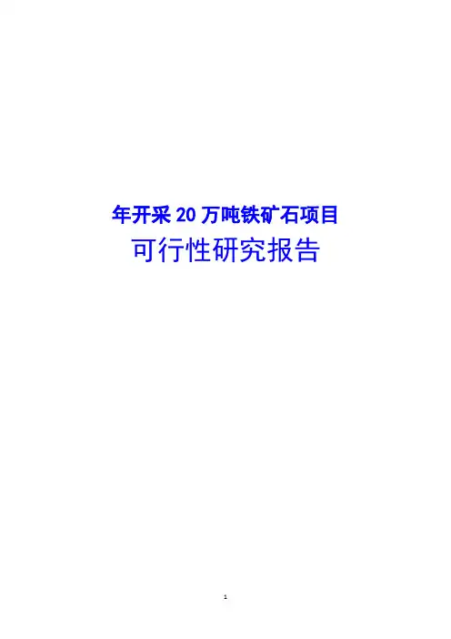 年开采20万吨铁矿石项目可行性研究报告