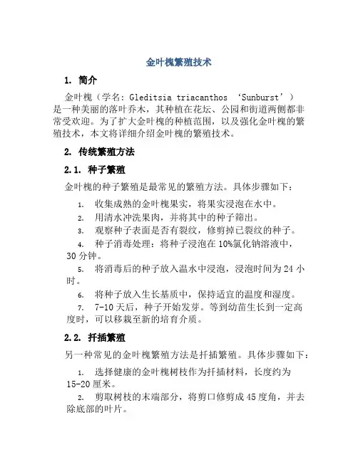 金叶槐繁殖技术
