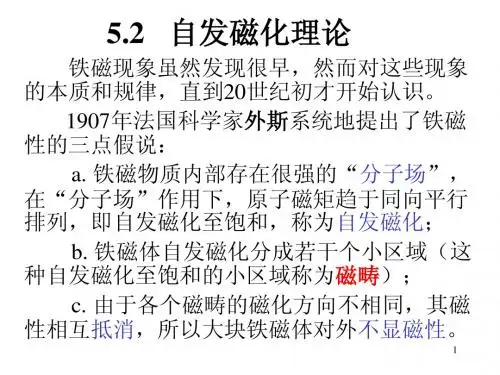 第5章 电子材料的磁学性能(2)