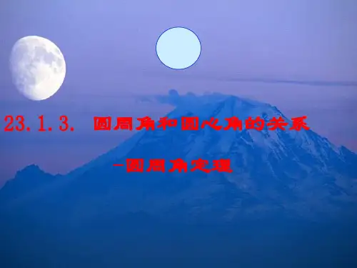 圆周角定理课件(PPT 17页)