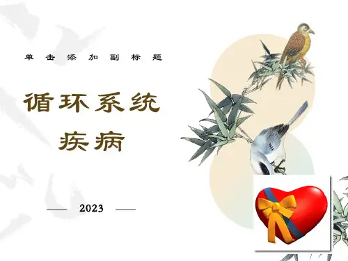 内科循环系统总论