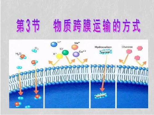 人教生物必修1第4章第第3节 物质跨膜运输的方式(共28张PPT)