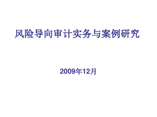 风险导向审计实务与案例研究-.ppt