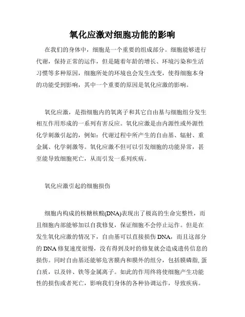 氧化应激对细胞功能的影响