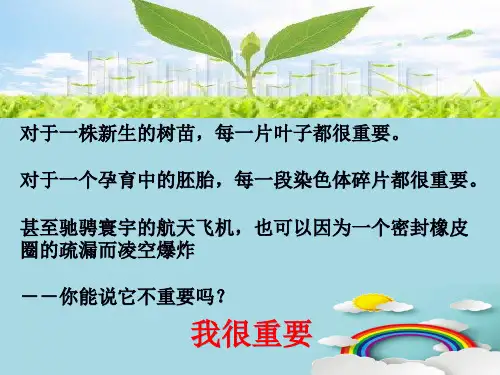 《我很重要》课件35张优秀课件