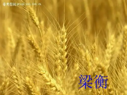 初中语文《夏感》(共29张)ppt71
