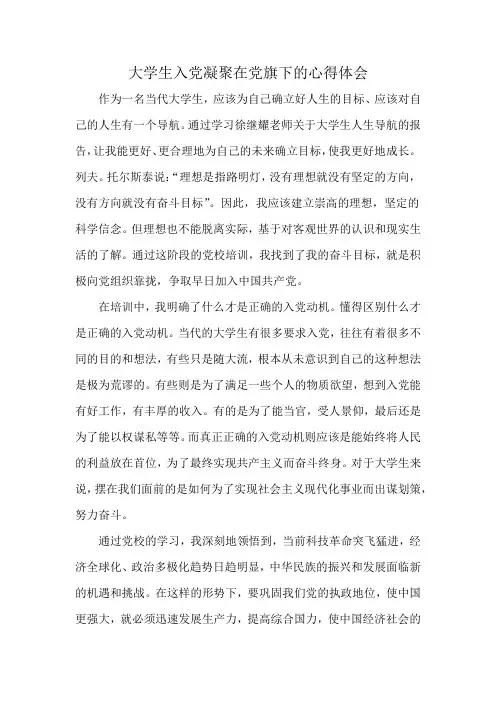 大学生入党凝聚在党旗下的心得体会
