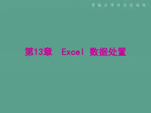 第13章Excel数据处理ppt课件