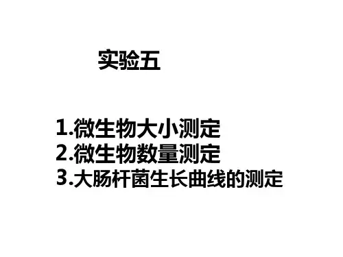 微生物实验微生物数量和大小测定ppt课件