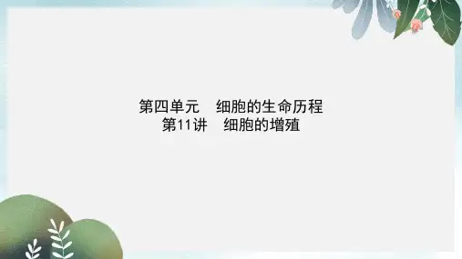 高中生物第四单元细胞的生命历程第11讲细胞的增殖课件
