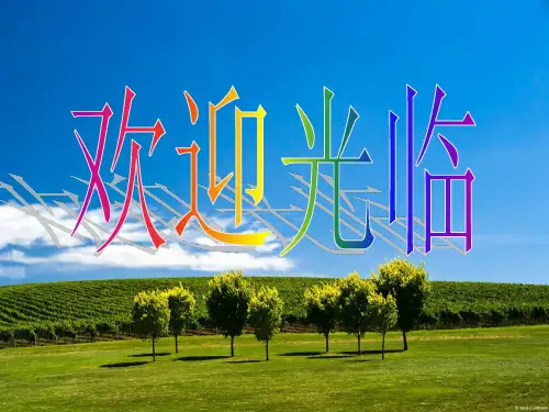 湘教版高二区域地理复习中国的工业(比赛精品课件)