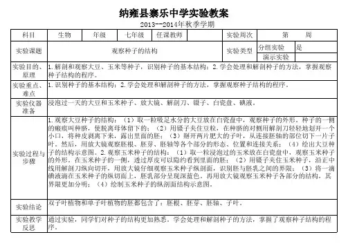 观察种子的结构实验教案